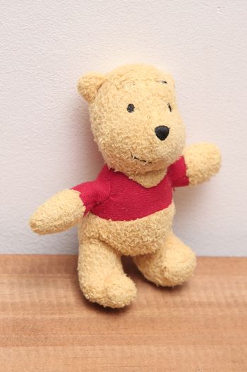 Petite peluche Winnie