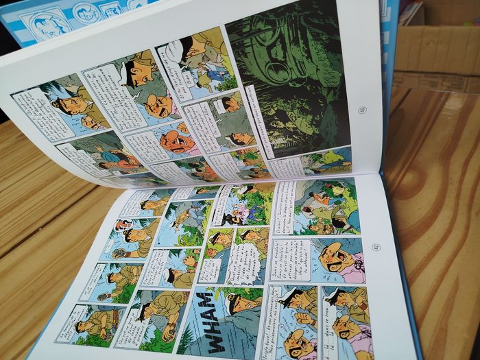 Album double tintin - photo numéro 6