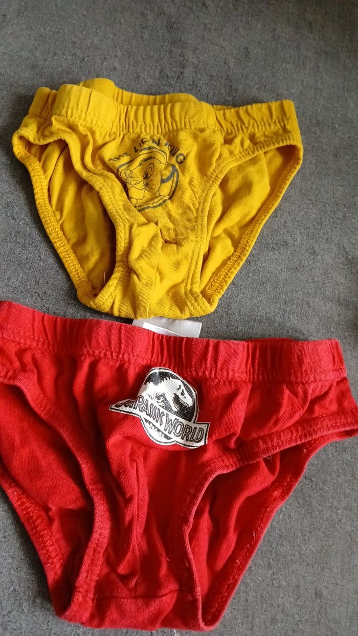 Slips 4/5 ans - photo numéro 2