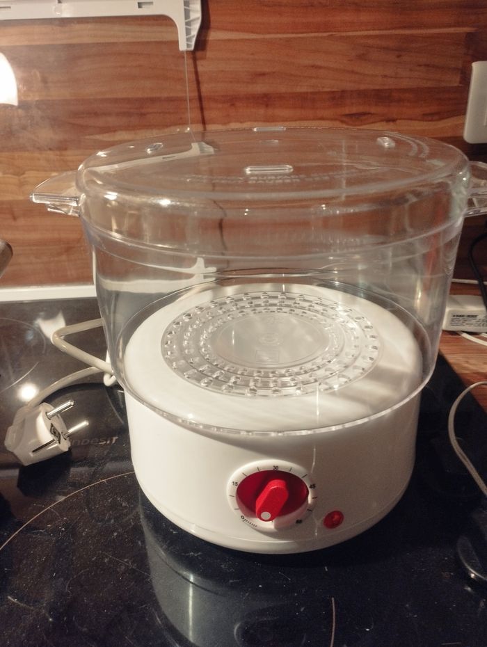 Mini cuiseur vapeur NEUF