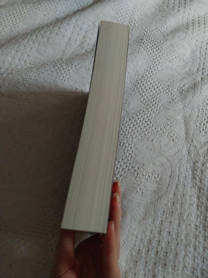 Roman Legacy of Gods tome 1 God of Malice Rina Kent Rinaverse Special Édition Killian - photo numéro 3