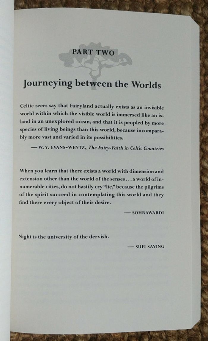 Dreamgates de Robert Moss (2010) - photo numéro 14