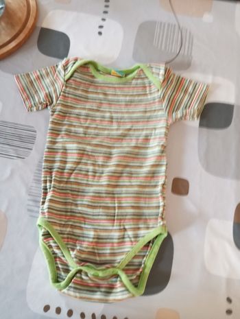 Body