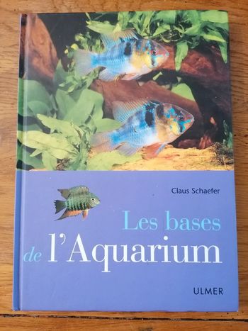 Les bases de l aquarium tbe