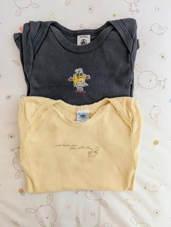 Lot de 2 bodies manches courtes Petit Bateau