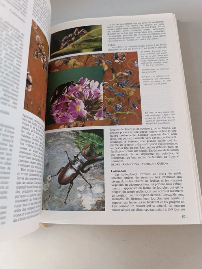 La nouvelle encyclopédie des animaux France loisirs édition 1980 - photo numéro 19