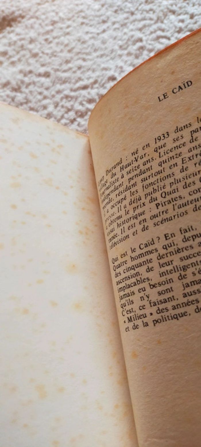 Le caïd de Loup Durand - photo numéro 3
