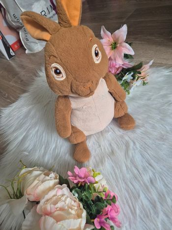 Peluche péter rabit