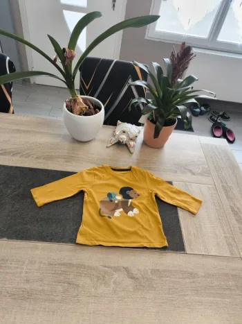 Tee-shirt garçon ml 12 mois obaibi