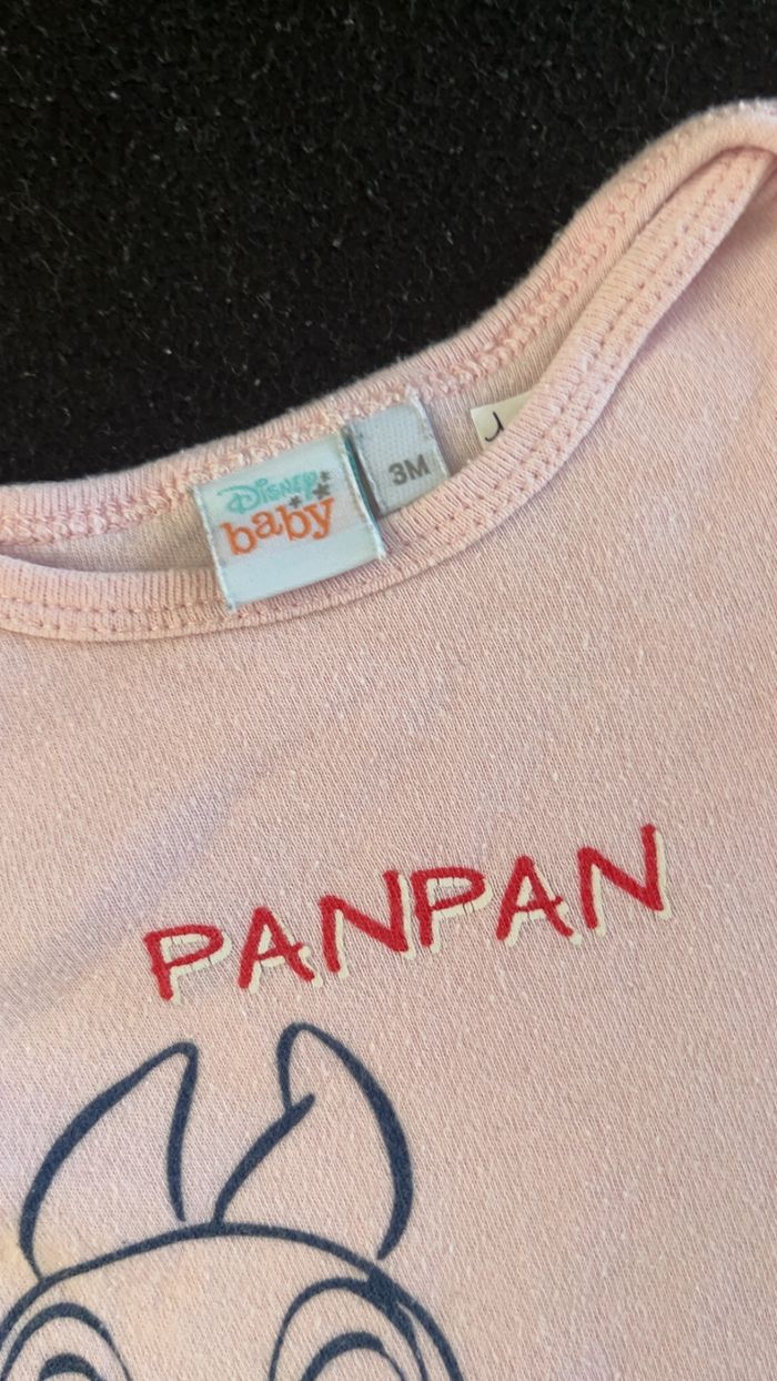 Bodie 3 mois - photo numéro 4