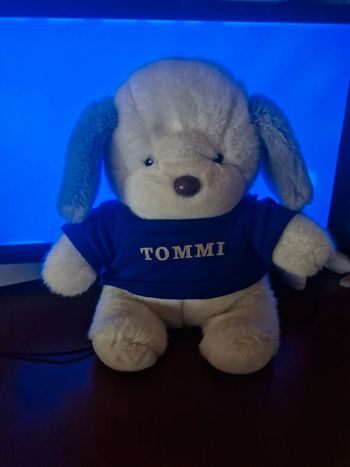 chien tommi en peluche