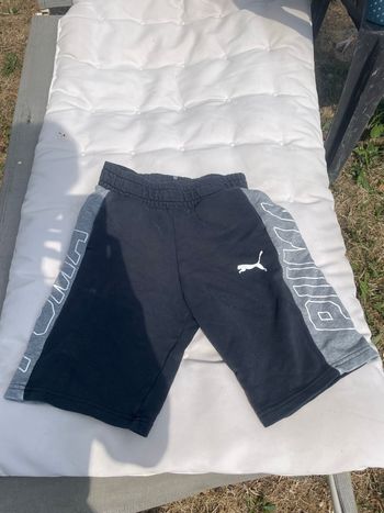 Short puma 