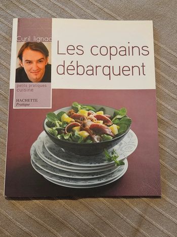 Livre Les copains débarquent