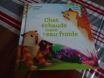 Livre macdo Chat échaudé craint l'eau froide Eric-Emmanuel Schmitt
