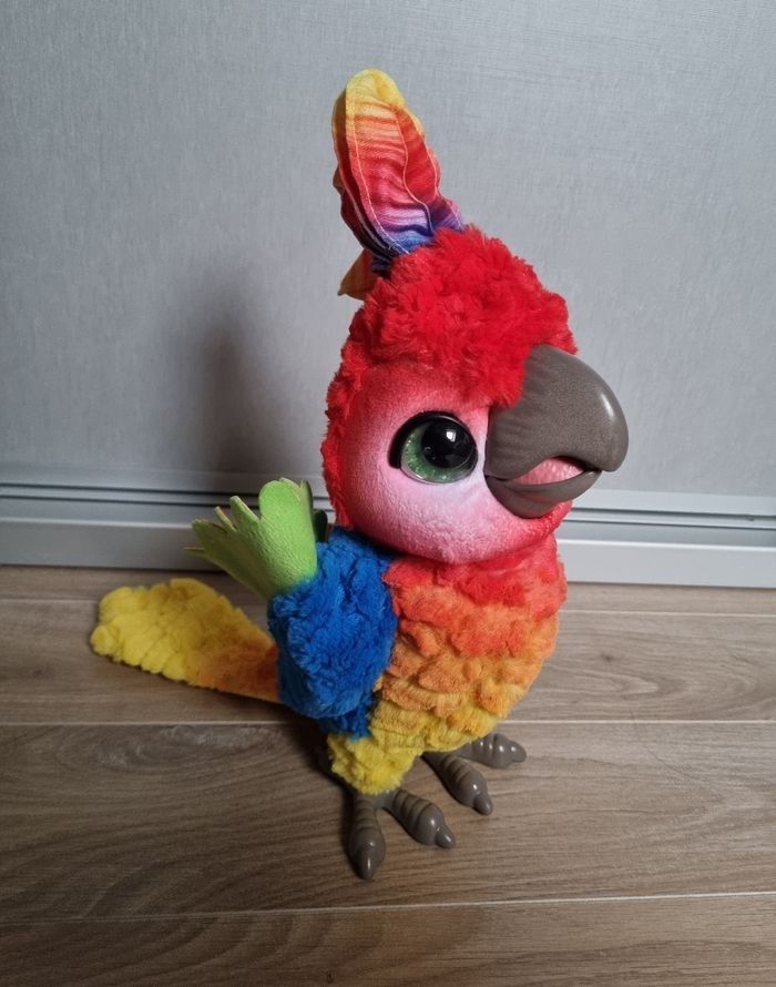 Perroquet interactive show coco