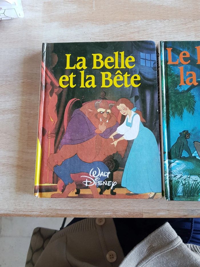 lot de 2 livres Disney - photo numéro 2