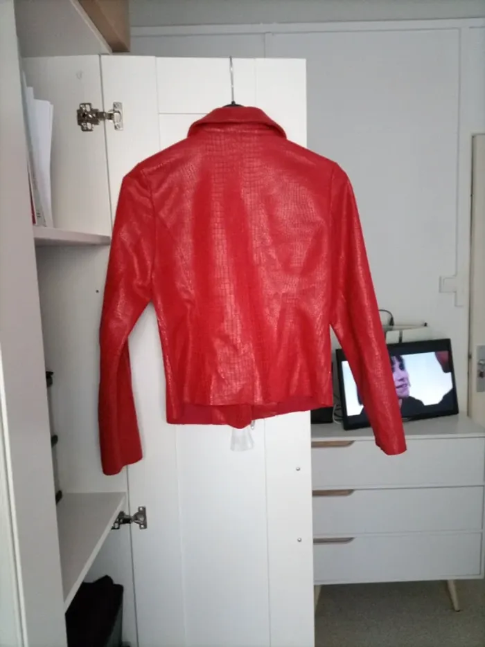 Veste rouge - photo numéro 4