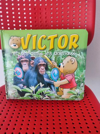 Livre pour enfants Victor et ses amis les animaux