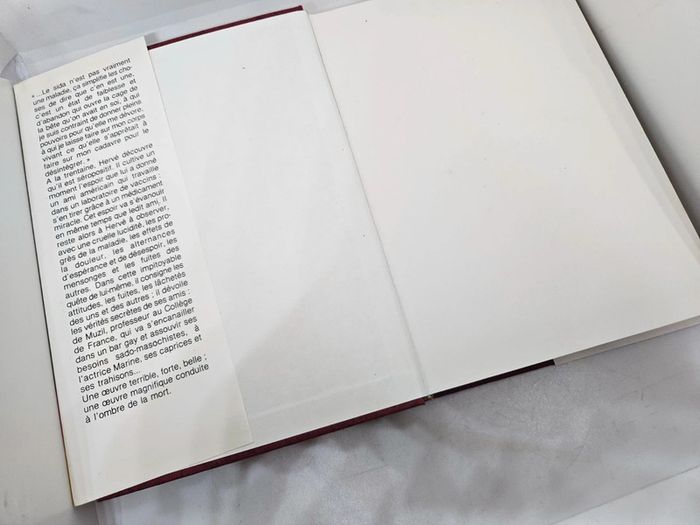 "À l'ami qui ne m'a pas sauvé la vie", de Hervé Guibert.
278 pages.
ISBN : 2.7242.6298.0 - photo numéro 3