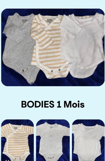 Bodies - 3 couleurs