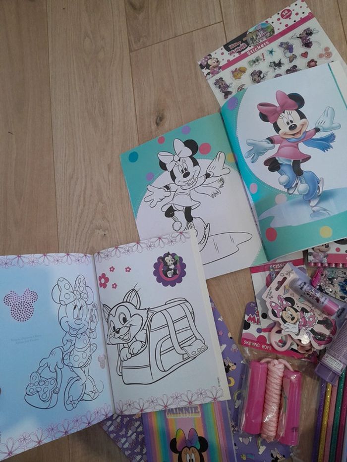 Gros lot loisirs créatifs Minnie - photo numéro 8