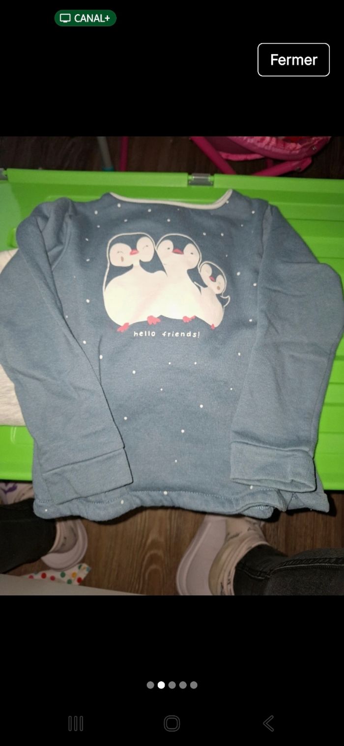 Sweats - photo numéro 2