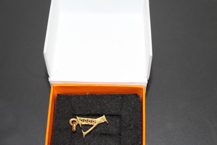 Pendentif plaqué or /oxydes de zirconium - photo numéro 2