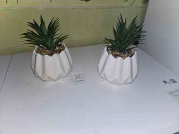 Decoration