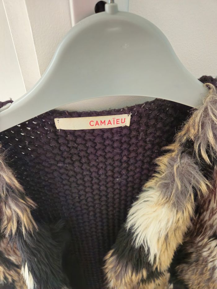 Gilet sans manche - photo numéro 2