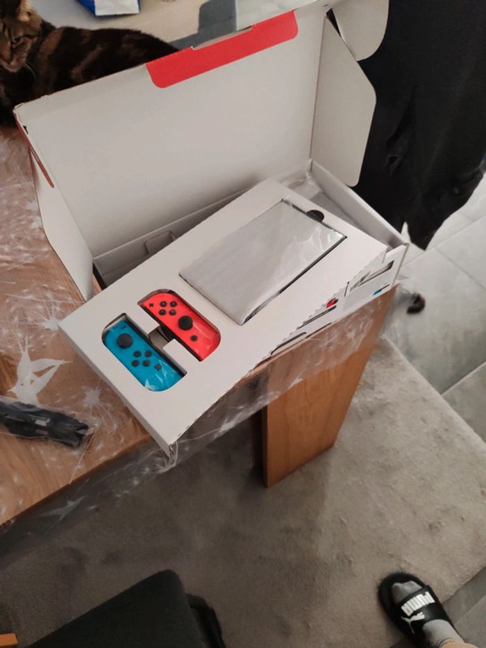 Nintendo Switch+ jeu - photo numéro 8