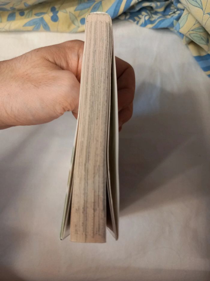 Bleach Tome 1 - photo numéro 4