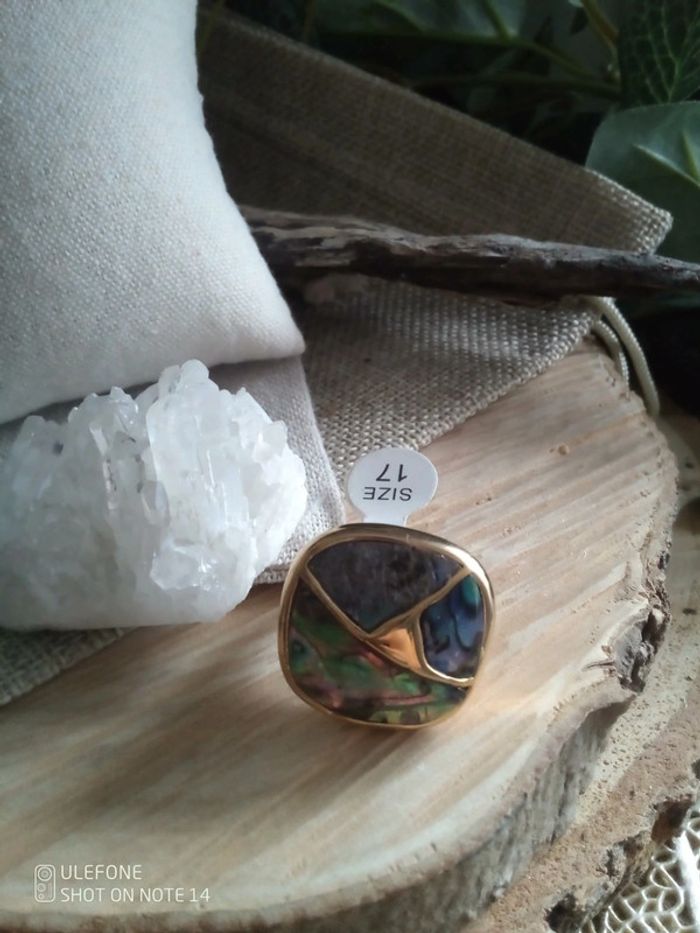 Bague acier et ormeaux abalone - photo numéro 2