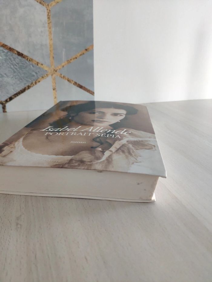 Livre grand format Portrait sépia Isabel Allende - photo numéro 3
