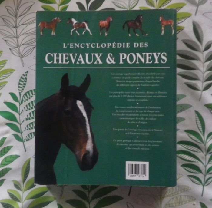 L'Encyclopédie des chevaux & poneys Ed. LLC - photo numéro 2