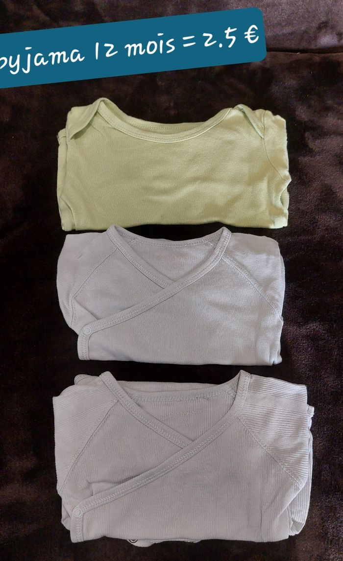 Bodies