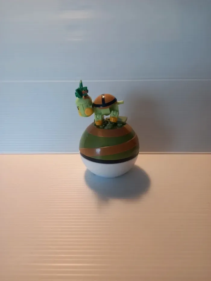 Mega tortipouss - photo numéro 4