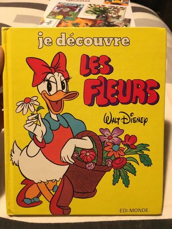 Livre Je découvre les fleurs Disney vintage
