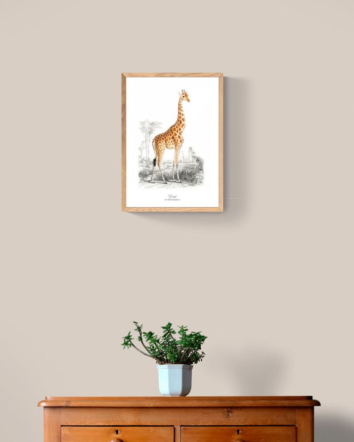 Affiche vintage Girafe format A4 - photo numéro 2
