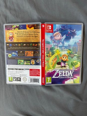 Zelda echoes of wisdom switch