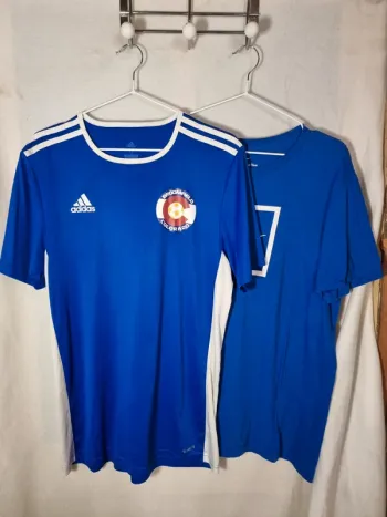 Lot 2 T-shirts M