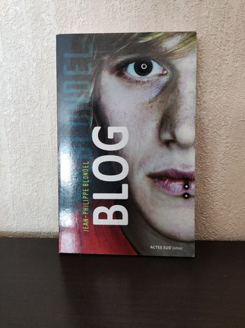 Livre Blog de Jean Philippe Blondel