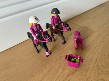 Playmobil équitation