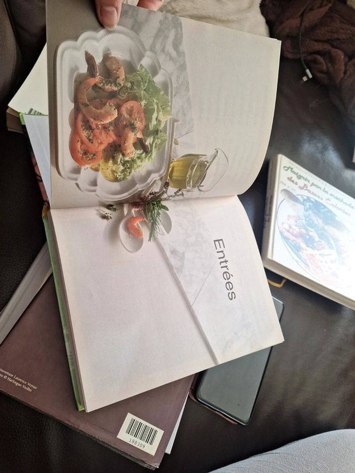 Gros livre de recette traditionnelle - photo numéro 11