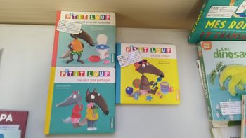 Lot livre p'tit loup