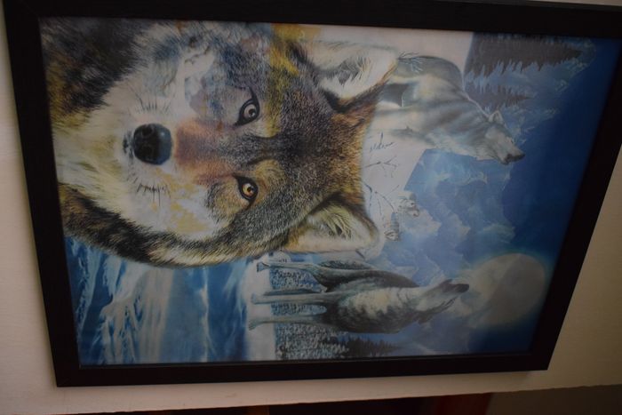 beau cadre holographique loup - photo numéro 4