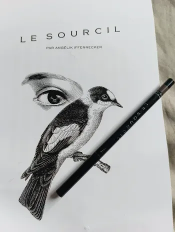 Crayon pour sourcils Marron Le sourcil