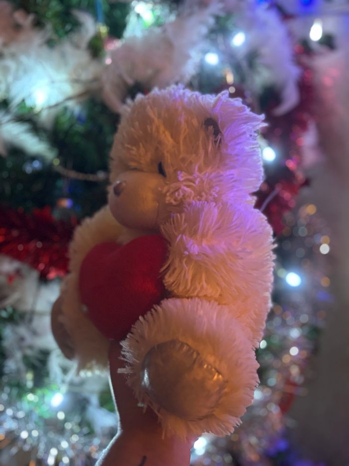 Ours en peluche cœur