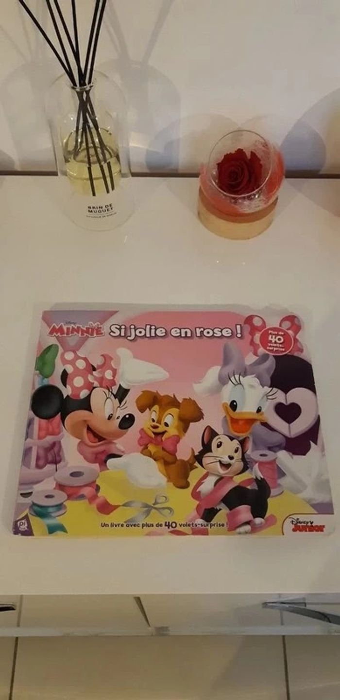 Livre disney Minnie, si jolie en rose!