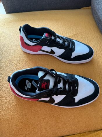 Nike sb alleyoop