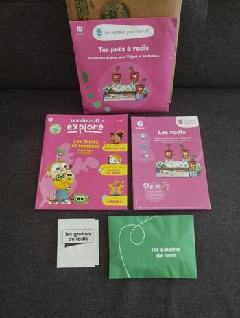 Kit pandacraft les fruits et légumes 